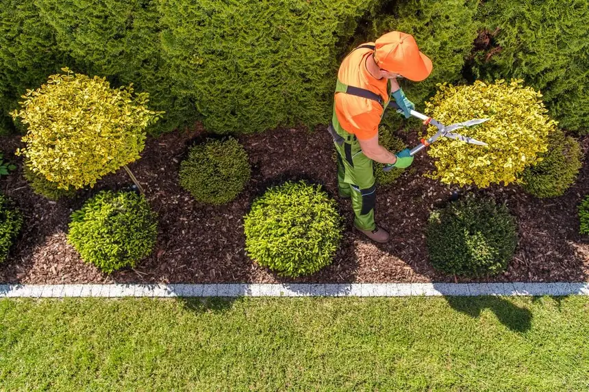 Taille d'arbustes et entretien de massifs en été dans un jardin de la vallée de l'Orne